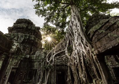 Tom Raider Angkor